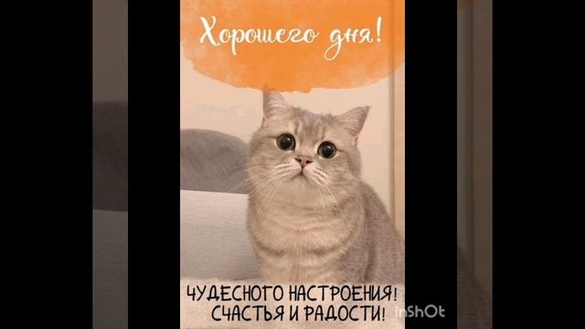 ПРИКОЛЫ И ПОЖЕЛАНИЯ смотреть онлайн