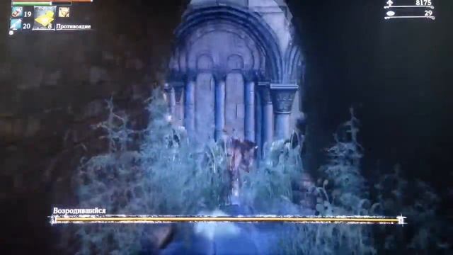 Bloodborne босс Возродившийся