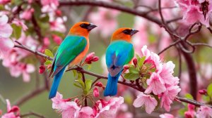 🐦 НЕВЕРОЯТНО КРАСИВАЯ МУЗЫКА И ЛЕЧЕБНОЕ ПЕНИЕ ПТИЦ! 🎵 ЗВУКИ ПРИРОДЫ И РЕЛАКС МУЗЫКА ДЛЯ СНА