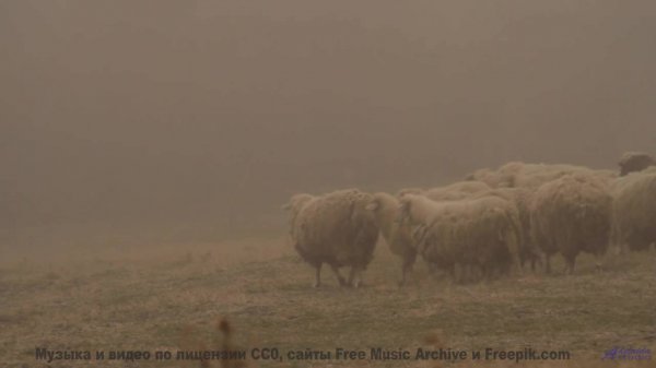 Эта композиция создана всплеском гравитационных волн - услышьте космос! - Laughter -- Ketsa -- Light