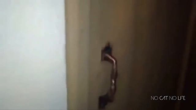 **СМЕЯКА** смотреть онлайн