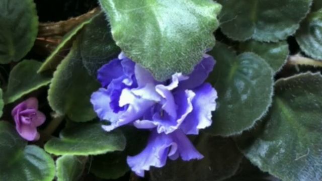 Мой YouTube канал перешагнул порог в 1000 подписчиков ) смотреть онлайн