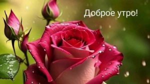 САМОЕ ВОЛШЕБНОЕ ДОБРОЕ УТРО☀ 🌝⏰