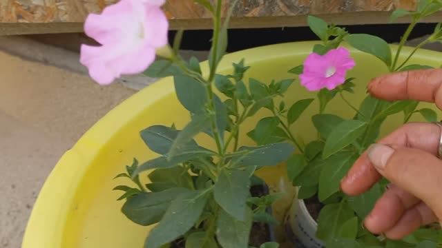 Мой день в ДЕРЕВНИ . Сгорела хотя от солнца пряталась смотреть онлайн