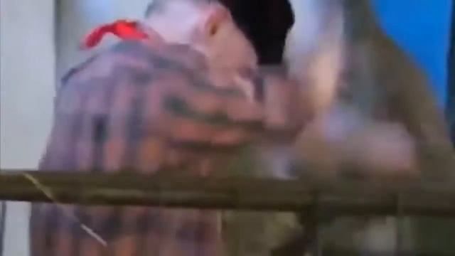 Fail compilation! Лучшие приколы! Смешные приколы! Приколы с девушками! Пранки - Выпуск 14 смотреть онлайн