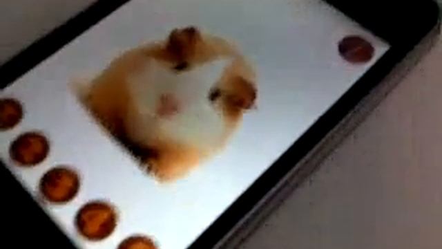 Прикол с айфоном ).flv