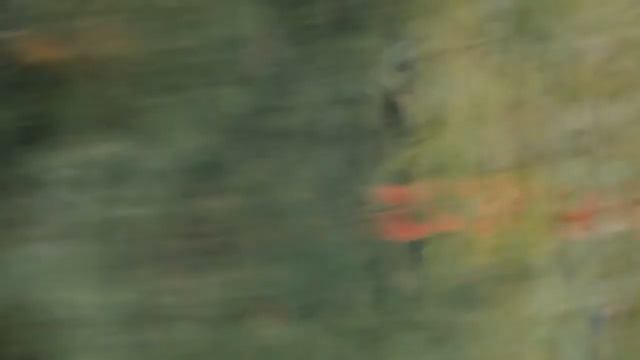 Funk FM - ПараДороже.wmv смотреть онлайн