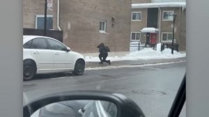 BRAIN TIME.  People VS Nature _ Crazy Weather Fails