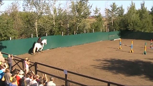 Конное шоу. Миледи, на выход! Конный спорт. смотреть онлайн