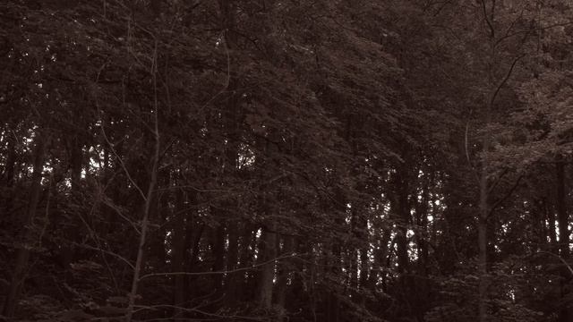 Гора мертвецов. Новый документальный проект.