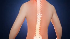 🌀Поясничный отдел позвоночника. Матрица Гаряева