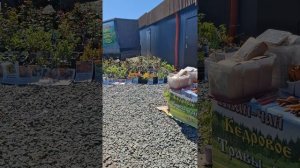 прогулка  на ярмарку выходного дня