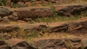 Ковчег Завета . Эфиопский след. [Андрей Скляров]