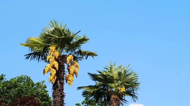 Мир в Одном Кадре: Путешествия без Границ 🏝️☀️🏖️ смотреть онлайн