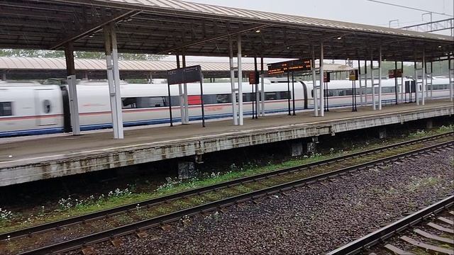 23 мая 2025 г. Двойной Высокоскоростной Электропоезд Сапсан ЭВС1-12+ЭВС2-02 Обухово смотреть онлайн