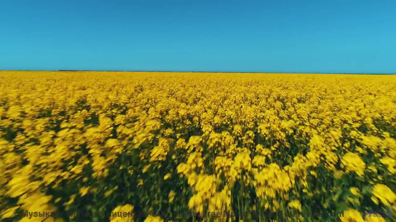 Включите этот трек - и пусть мир вокруг исчезнет! - Carefree Morning -- Scott Holmes Music -- Happy