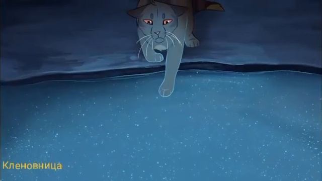 Коты воители - Мокрые кроссы смотреть онлайн