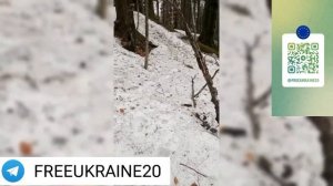 Экшен Выход из Украины через Горы на Румынию 2024