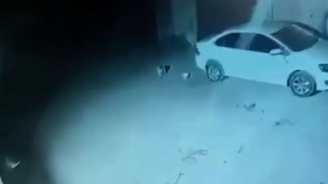 Украли шашлык прямо с мангала смотреть онлайн