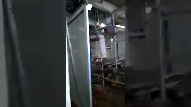 Бедные ослики смотреть онлайн