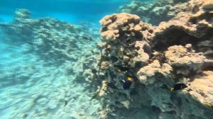 Египет Хургада экскурсия на остров Хула-Хула