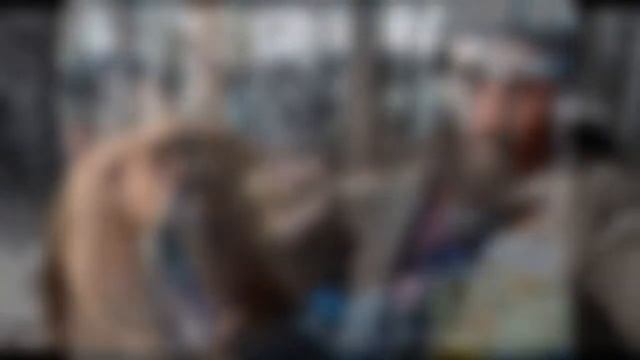 ТОП 9 ФОТО СДЕЛАНЫХ  ЗА СЕКУНДУ ДО СМЕРТИ