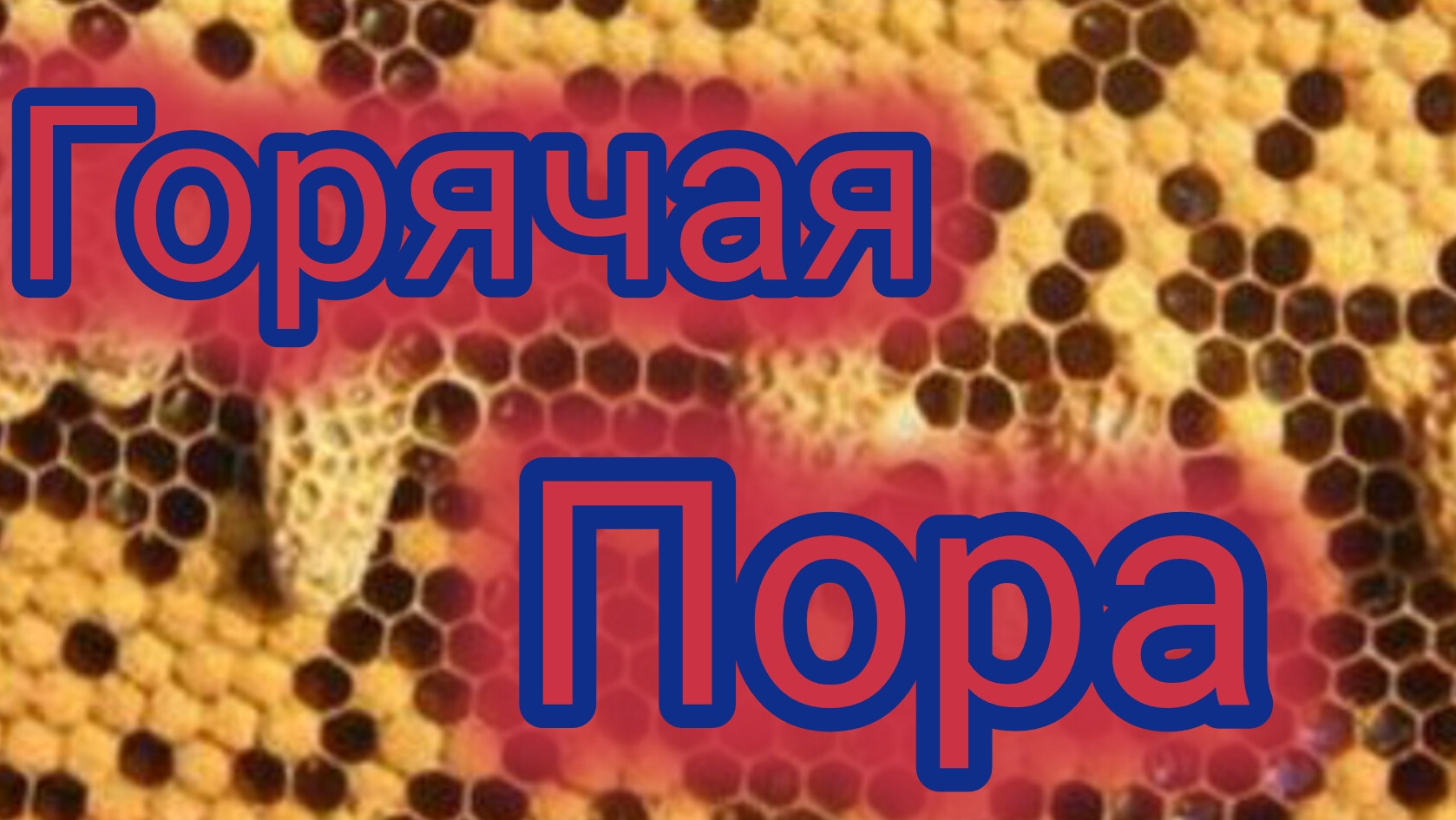 Горячая пора 🐝 смотреть онлайн