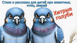 Хитрые голуби. Интересное наблюдение. Стихи. Рассказы для детей про птиц. Детский поэт Левинов Иран.