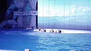 Москвариум. Вместе с дельфинами полюбить ОКЕАН