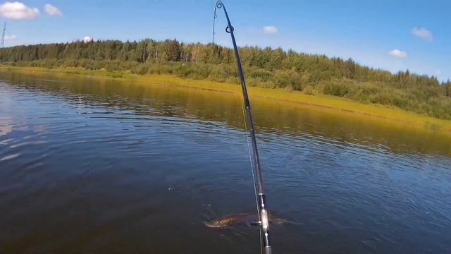 Щука 5,4 кг на буксире смотреть онлайн