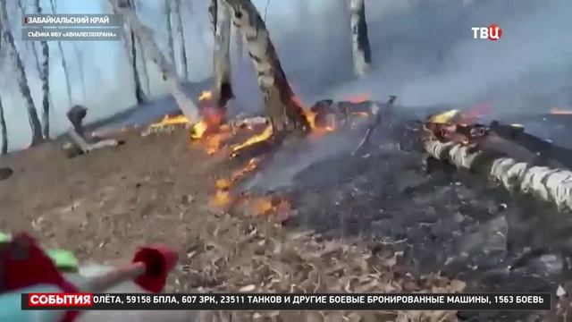 Тв Центр За последние сутки в российских регионах потушили более 60 природных пожаров смотреть онлайн