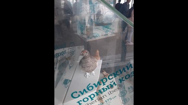 🔥❤поездка в Танхой на Байкал🌊 часть 1.(фото🏞)❤🔥 смотреть онлайн