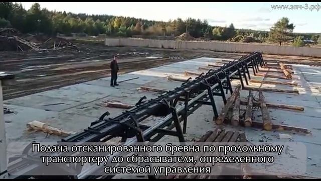 Линия сортировки бревен