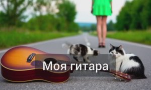 Моя гитара. Блудливому очкарику посвящается. Свежий стих в описании.