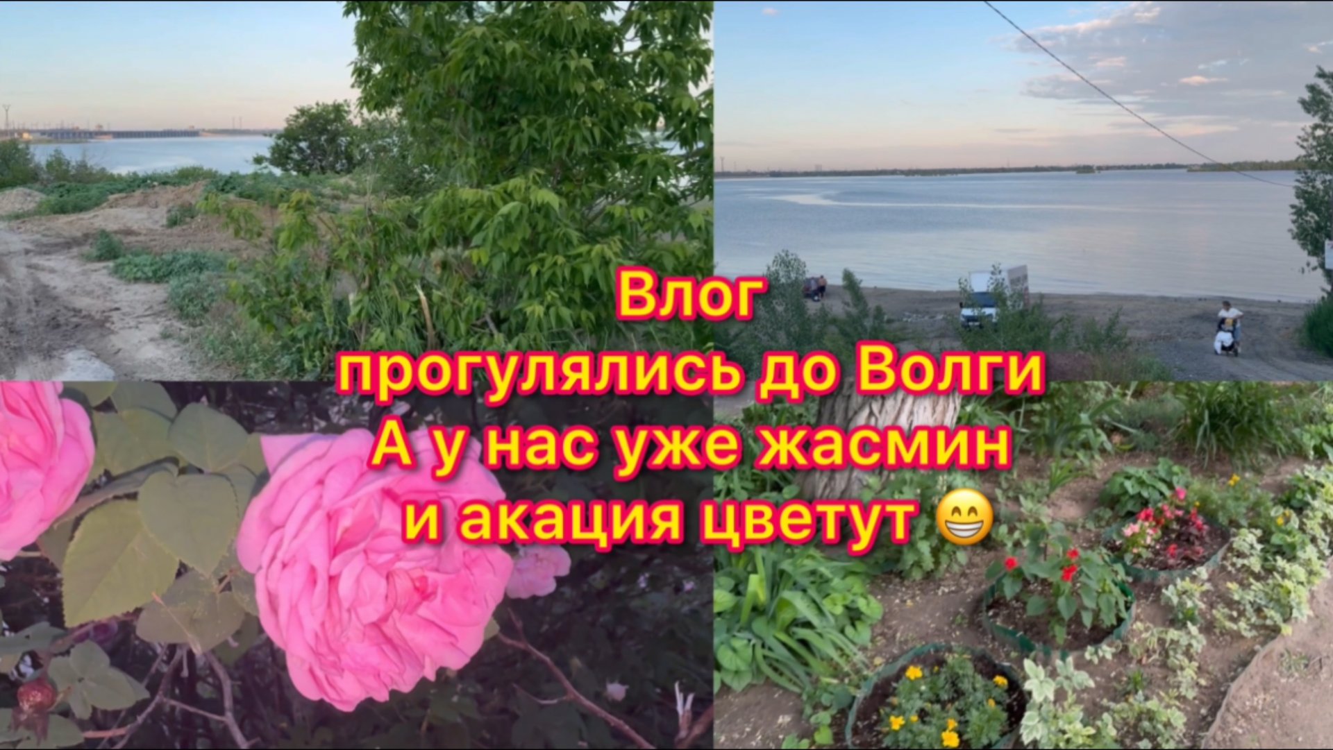 Влог . Прогулялись до Волги . А у нас уже жасмин и акация цветут )