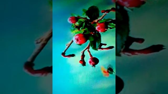 В долине муравьёв мультик смотреть онлайн