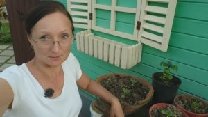 Видео привет с 6 соток 25 мая 2025 года