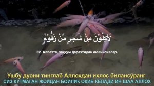 Ушбу дуони тинглаб Аллохдан ихлос билан сўранг СИЗ КУТМАГАН ЖОЙДАН БОЙЛИК ОҚИБ КЕЛАДИ ИН ШАА АЛЛОХ