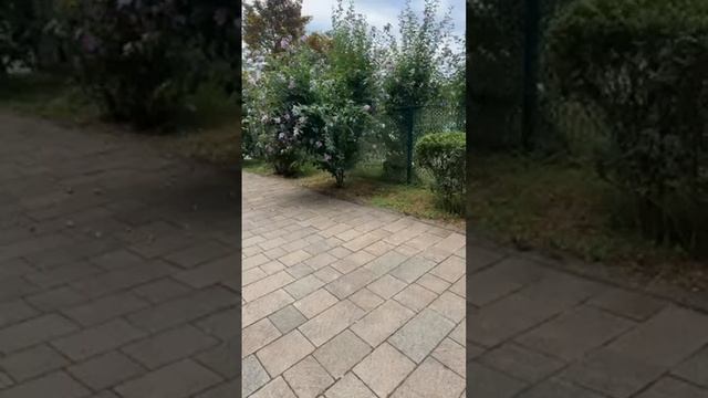 VLOG: БАТУМИ - ЛЕТО — КРАСИВЫЕ МЕСТА В БАТУМИ смотреть онлайн
