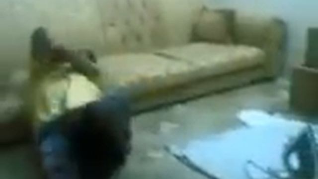 Ало прикол смотреть онлайн