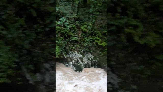 Прогулка по ущелью Ассир, локация Черниговка, Абхазия. смотреть онлайн