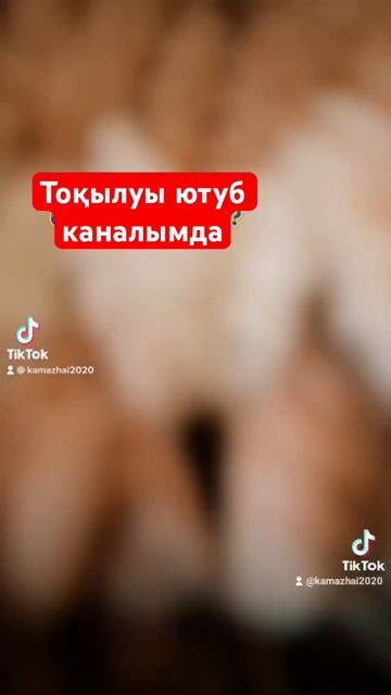 жилет тоқып үйрену ютуб каналымда | жилетка безрукавка #жилетка тоқып үйрену #тоқыматоқыпүйрену смотреть онлайн