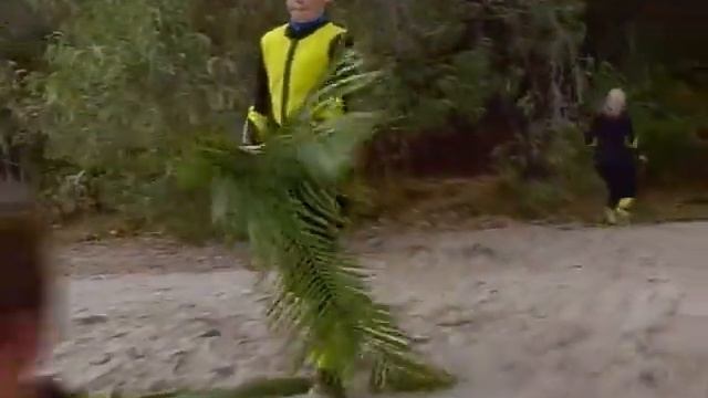 Девочка из океана. 3 сезон 17 серия. смотреть онлайн