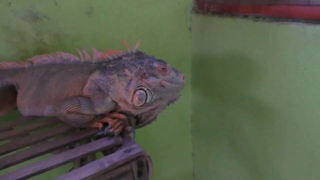 Бали. смотреть онлайн