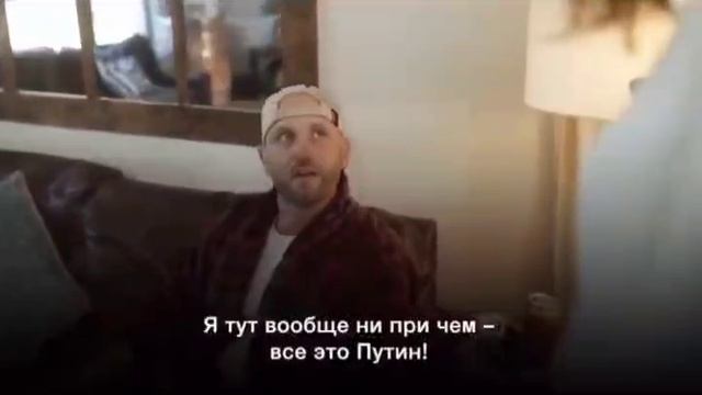 Кошка бросила котят, в этом Путин виноват!