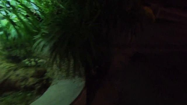 VLOG с Лангкави, Малайзия: уехала к подруге на остров! смотреть онлайн