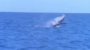 Девочка из океана. 1 серия.