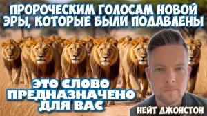 ПРОРОЧЕСКИМ ЛЬВАМ- БОГ ВОЗВРАЩАЕТ ВАМ СИЛЫ!
МОЛИТВА ЗА ИСЦЕЛЕНИЕ
Нейт Джонстон