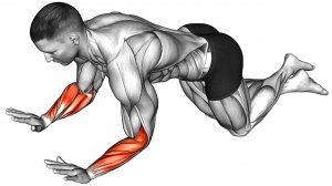 10 лучших Упражнений с собственным весом для создания рельефных рук