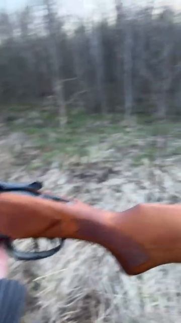 Открытие охоты. Иж(мр) 27 фермер. Весенняя охота 2024. Вечерняя тяга. смотреть онлайн